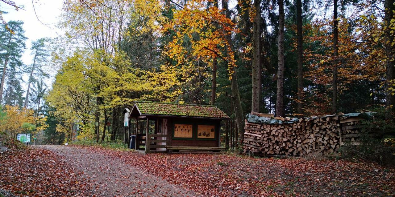 Zimmervermietung Stocker Вайдгофен-ан-дер-Іббс Екстер'єр фото