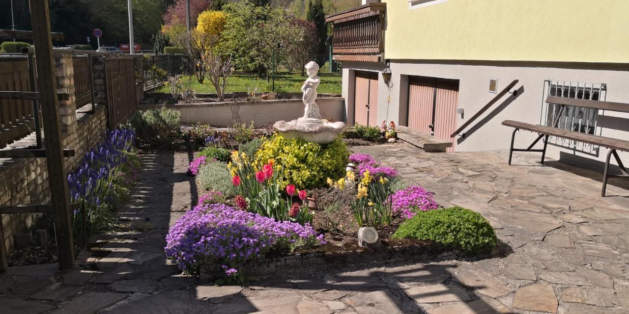 Zimmervermietung Stocker Вайдгофен-ан-дер-Іббс Екстер'єр фото